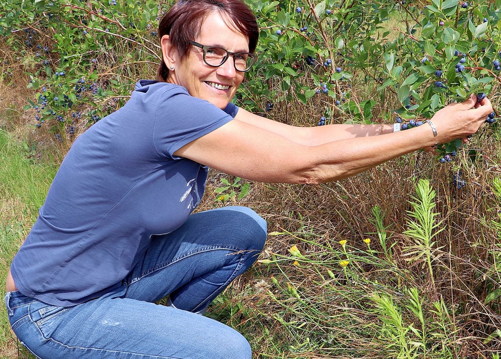 Viola Borski aus Wahlitz kommt schon seit vielen Jahren zum Selbstpflücken der Heidelbeeren nach Hohenseeden.
