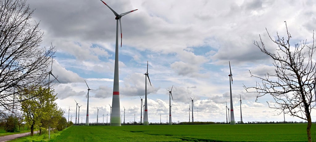 Ein Teil des Windparks zwischen Biere und Borne. 71 Windräder stehen momentan auf der Fläche. Ein Antrag für die Errichtung von sieben neuen Windanlagen wurde eingereicht und wird diskutiert.