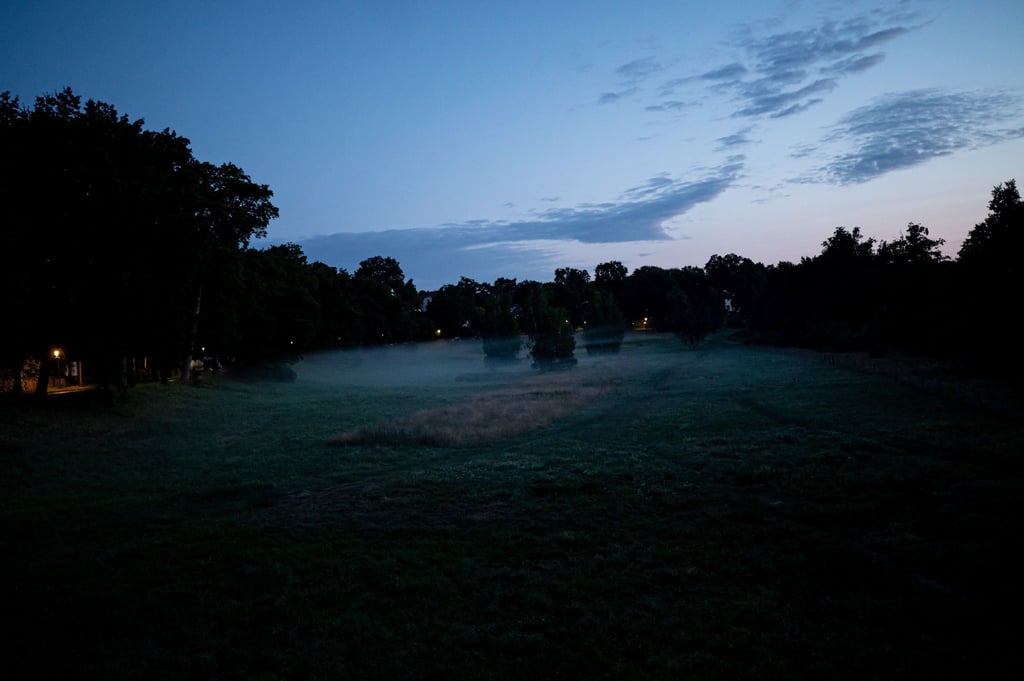 Morgentau hängt am frühen Morgen in Berlin-Zehlendorf über einem Feld.