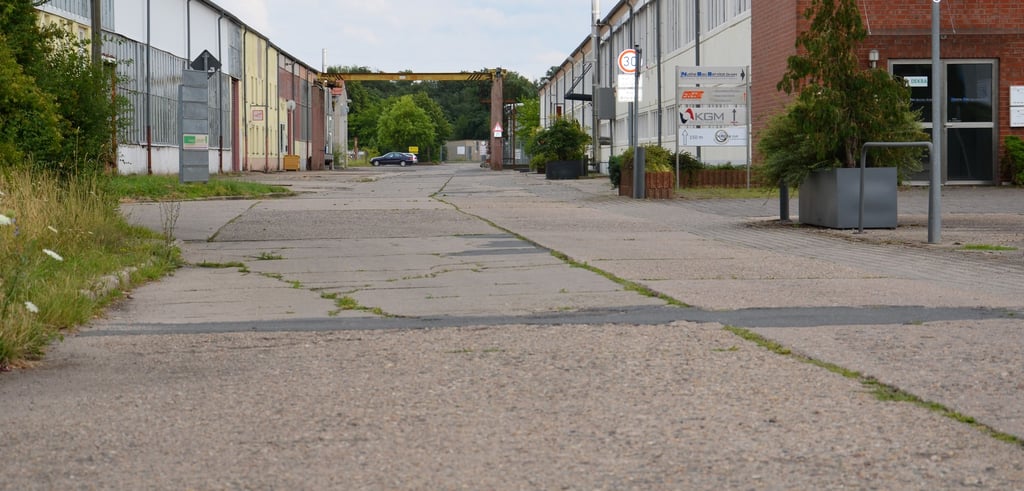 Blick auf den bislang nur mit Betonplatten befestigten Teil der Zerbster Kirschallee - was dieser mit Wirtschaftsförderung zu tun hat.