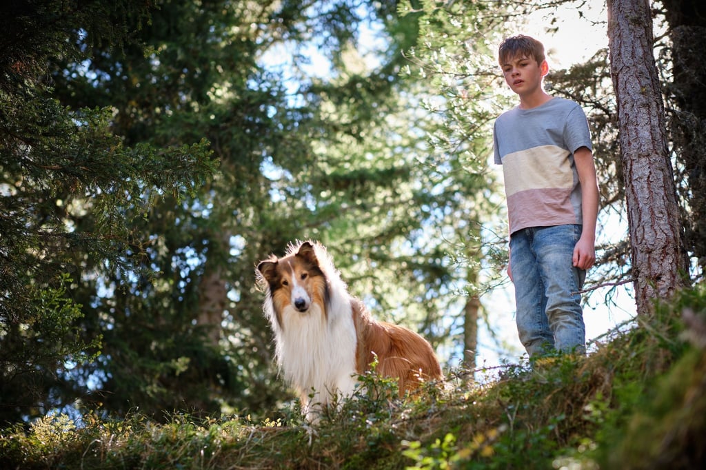 Flo (Nico Marischka) will sich auch in den Ferien nicht von Lassie trennen.