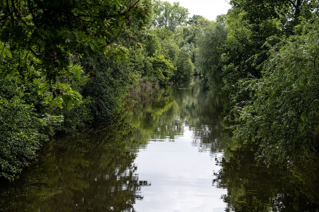 Blick auf einen Fluss.