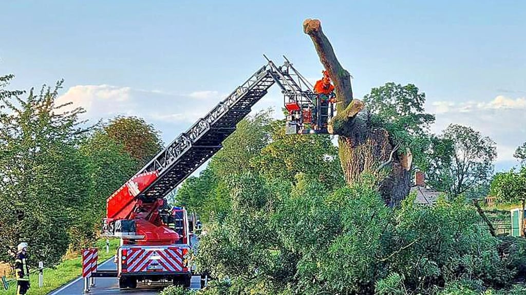 Umgestürzte Bäume, abgebrochene Äste, das Unwetter am Montag bescherte den Brandschützer von Wanzleben einen arbeitsreichen Abend.