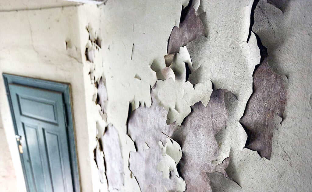 Das Mehrfamilienhaus in der Schwetschkestraße in Halle muss dringend saniert werden.
