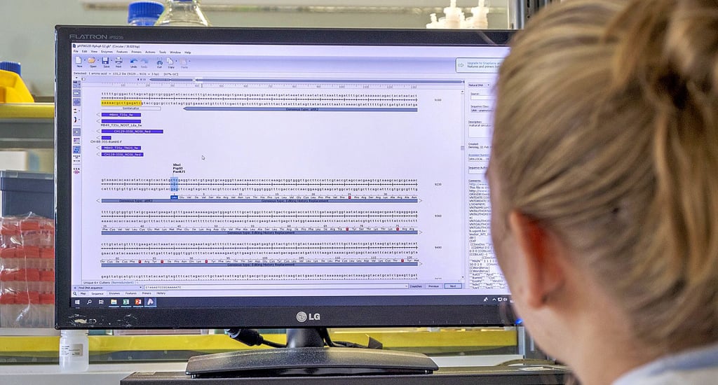 Angesichts der Komlexität der Pflanzen-Genetik ist es gar nicht so einfach, den Überblick zu behalten. Am Ende ist es sehr viel Detailarbeit.