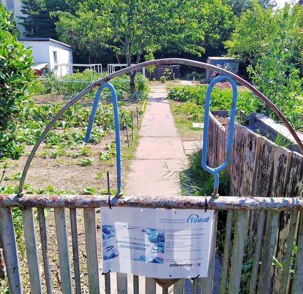 Nach knapp sechs Monaten ist der Garten wieder ein Garten.