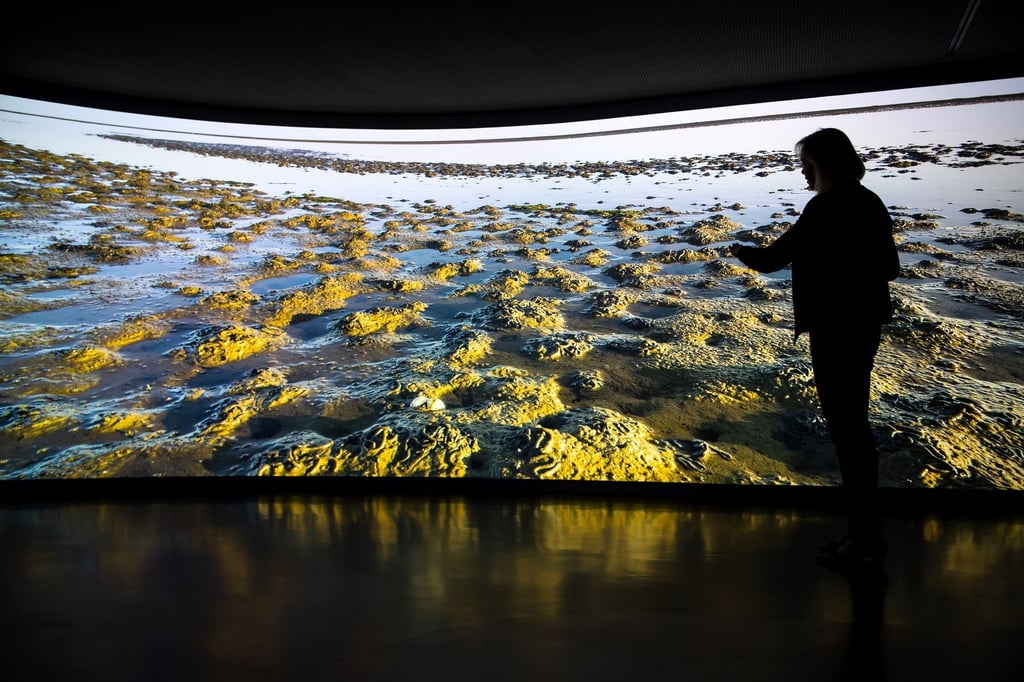 Eine Mitarbeiterin geht durch die Ausstellung im UNESCO-Weltnaturerbe Wattenmeer-Besucherzentrum.