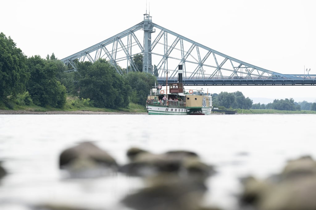 Ein historischer Dampfer der Sächsischen Dampfschifffahrt fährt vor der Elbbrücke Blaues Wunder auf der Elbe.