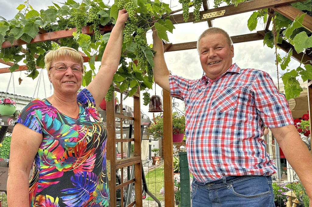 Uwe und Kerstin Schwieger in ihrem Garten in der Burger Anlage "Blütenpracht" an der Grabower Landstraße. Auch der Wein kann in diesem Jahr üppg geerntet werden.