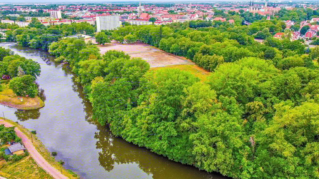 Merseburgs Kulturamtsleiter will prüfen, ob eine Anlegestelle für Boote an der Rischmühleninsel möglich ist.