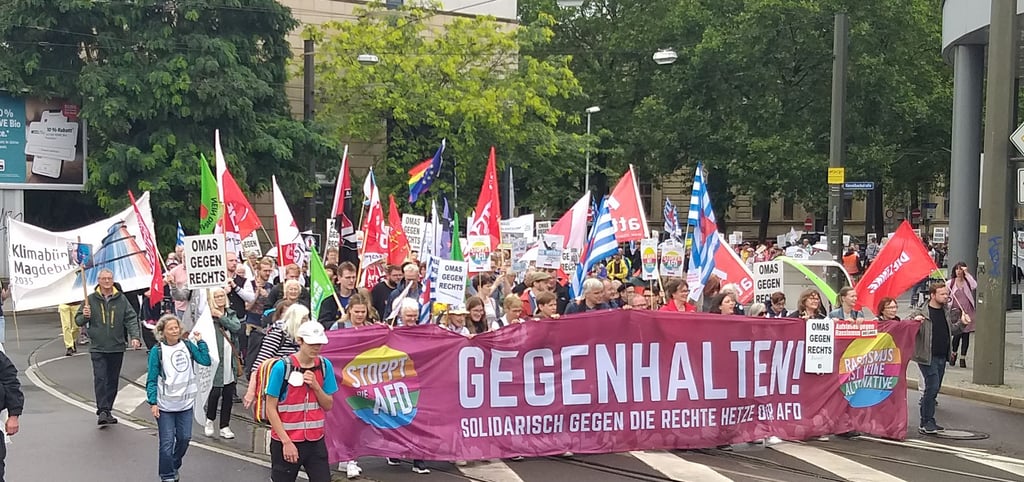 Demonstration In Magdeburg Protest Gegen Afd Bundesparteitag Startet