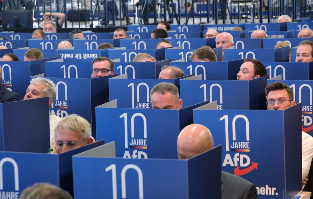 Delegierte geben hinter Wahlkabinen ihre Stimmen für die Listenplätze für die Europawahl der AfD ab.