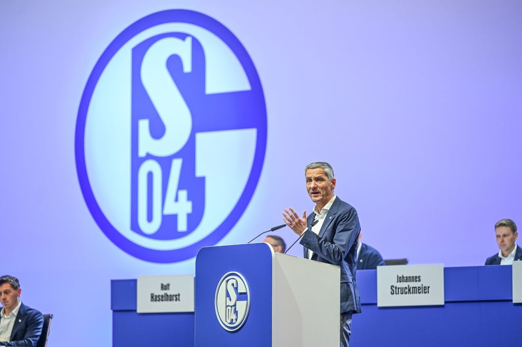 Schalkes Vorstands-Chef Bernd Schröder bei der Mitgliederversammlung im Juni. Nun verlässt er den Verein.