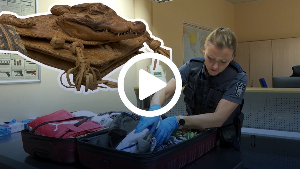 Bei der Suche nach verbotenen Mitbringseln im Urlaubsgepäck am Flughafen Leipzig/Halle hilft Zollbeamtin Anja Lorenz ein Röntgengerät.