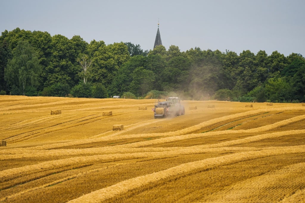 Ein Landwirt fährt mit seinem Traktor über ein Getreidefeld.