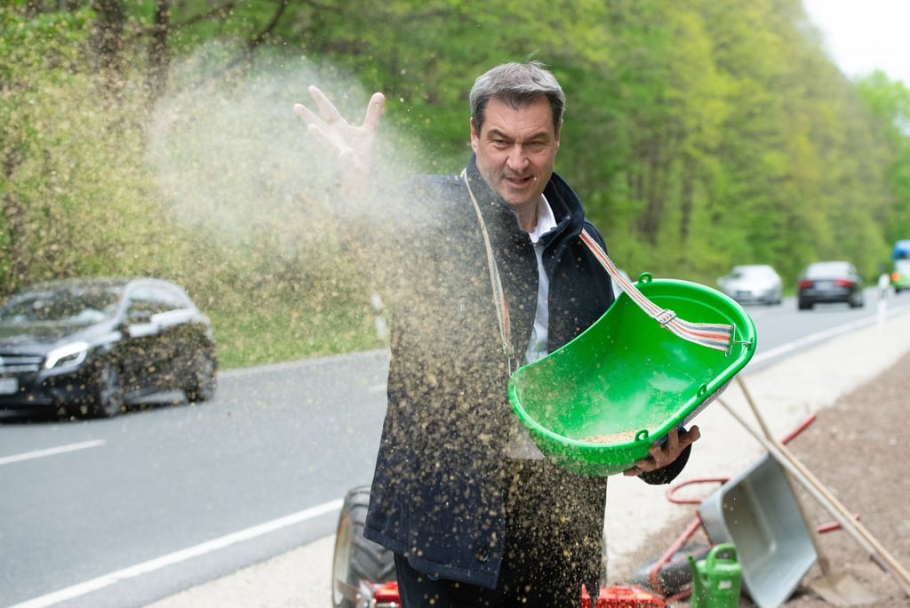 Bayerns Ministerpräsident Markus Söder bringt Saatgut für einen „Bienen-Highway“ in Schwaig bei Nürnberg aus.