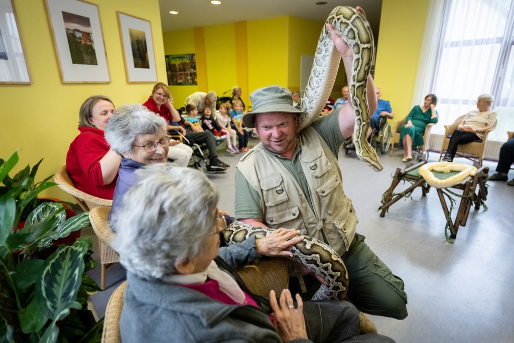 Anfassen erlaubt: Im Altenpflegeheim Käthe Kollwitz präsentiert Martin Tränkler, Chef des „rollenden Zoos“, den Bewohnern einen meterlangen Tigerpython.