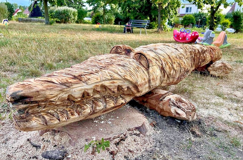 Eine kranke Kastanie ist in Zscherndorf zu einem Reptil geworden. Bildhauer Evgeny Sidorkin aus Quetzdölsdorf startet die Kettensäge am Lutherplatz.