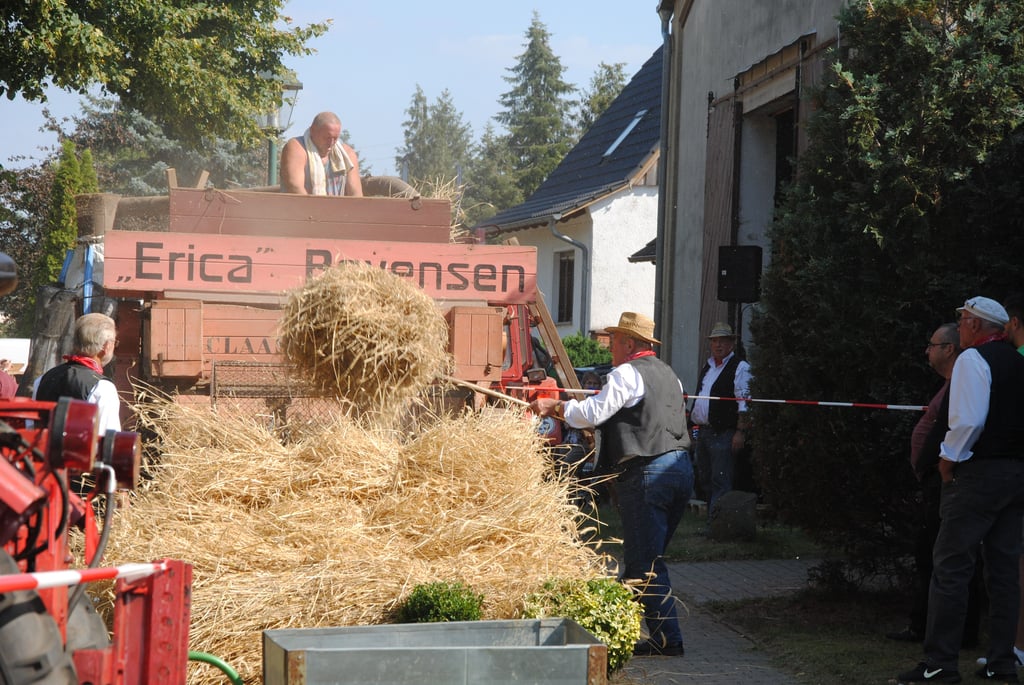 Beim letzten Dreschtag in Jävenitz am 24. August 2019 hatte Klaus Dieter Kühnast oben auf der "Erica" als Einleger seinen Platz, während sich die "Freunde alter Landtechnik und Traktoren" unten um das ausgedroschene Stroh kümmerten.