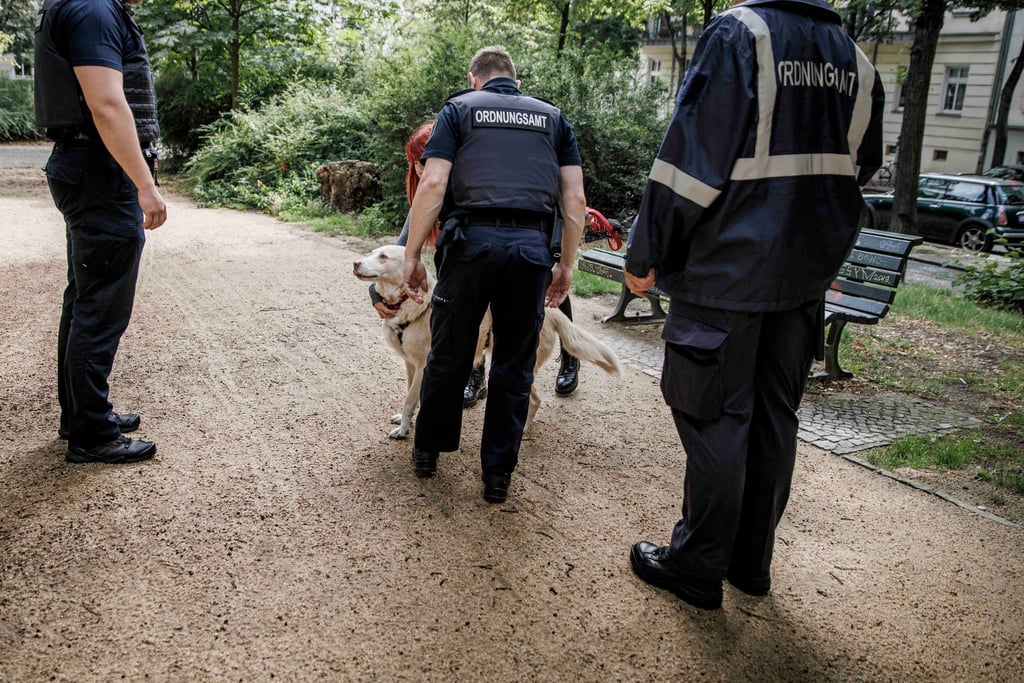 Mitarbeiter des Ordnungsamtes kontrollieren die Papiere eines Hundeführers.