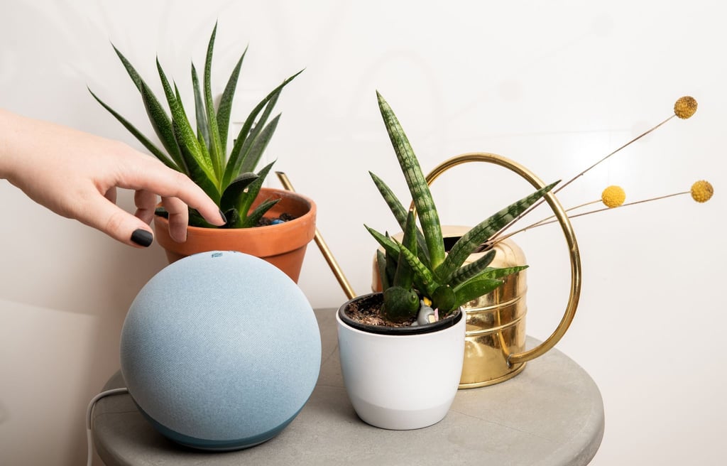 Gut getarnt: Smarte Geräte wie dieser Lautsprecher haben Sprachassistenten wie etwa Alexa an Bord - den Klang einer weiblichen Stimme bevorzugen dabei viele Nutzende.