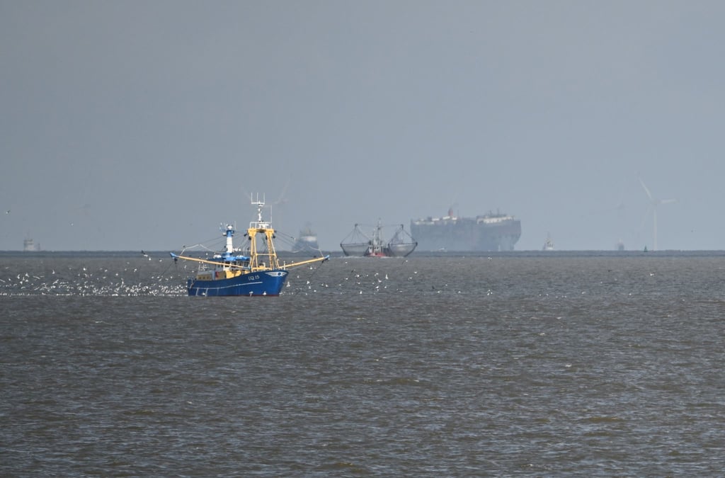 Blick auf den Autofrachter “Fremantle Highway„ (Hintergrund) weit draußen auf der Nordsee vor Borkum.