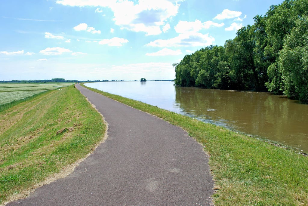 Es fehlte nicht viel – und das Wasser am Deich an der Schleusenstraße in Parey wäre übergelaufen.