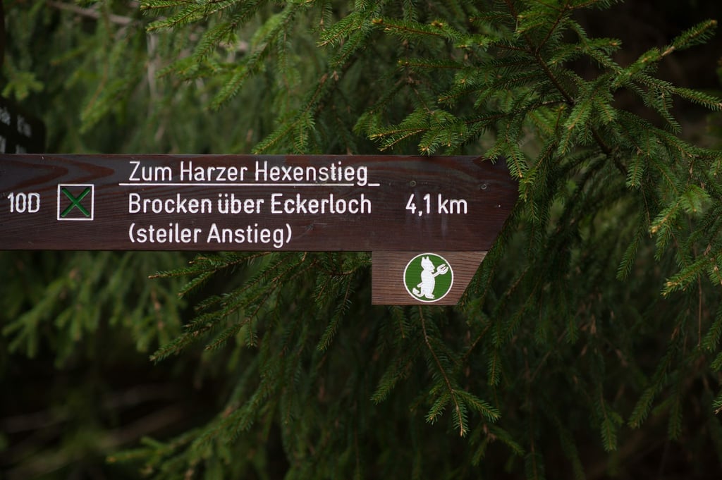 „Zum Harzer Hexenstieg“ steht nahe Schierke (Sachsen-Anhalt) auf einem Schild.