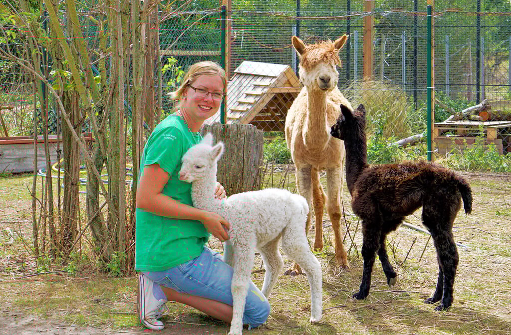 Jennifer Arbter freut sich über den Alpaka-Nachwuchs. Der weiße Amor und der schwarze Apollo sind erst wenige Wochen alt.