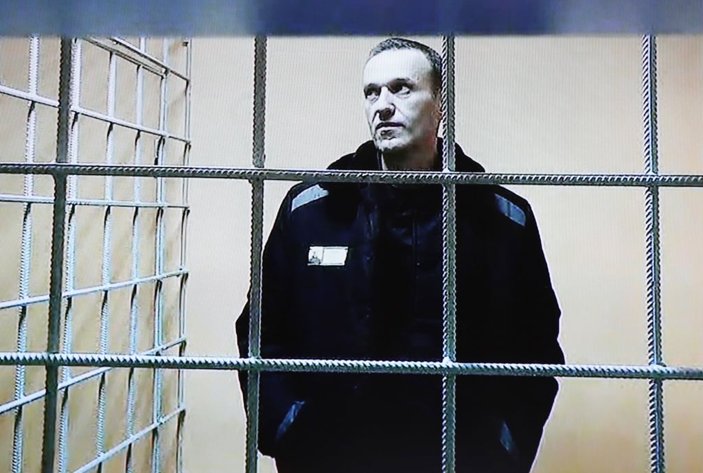 Alexej Nawalny ist während einer Gerichtsverhandlung per Video aus dem Gefängnis zugeschaltet (Archivbild).