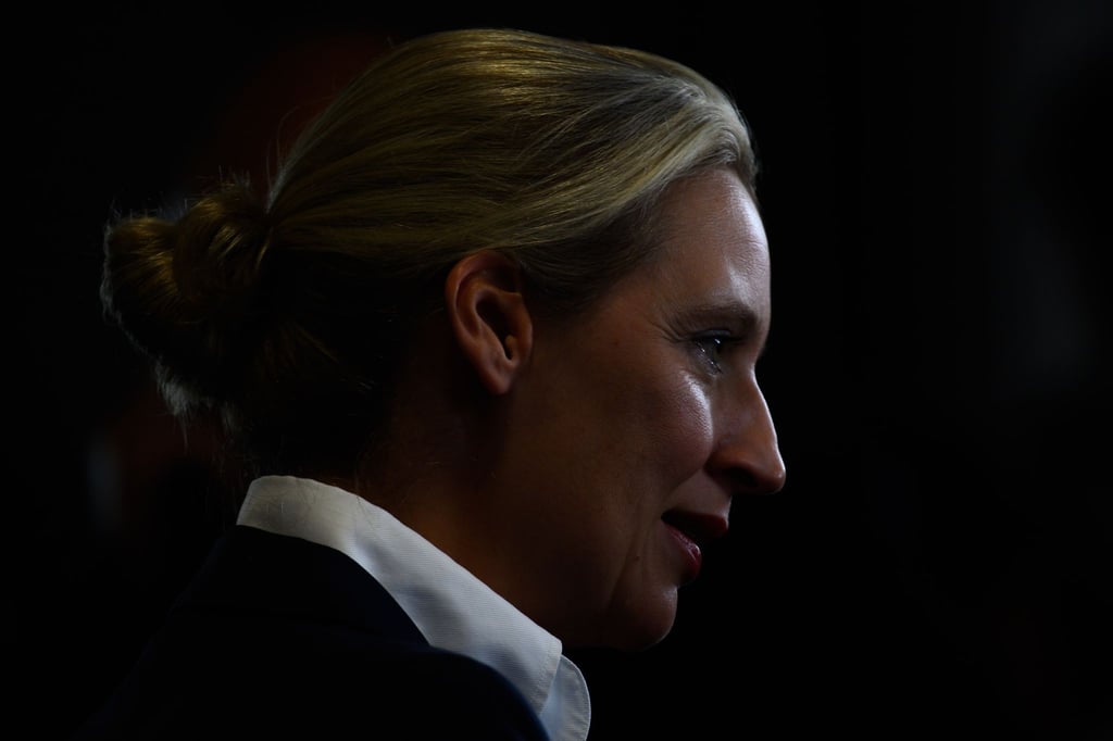 Alice Weidel, AfD-Bundesvorsitzende und Fraktionsvorsitzende der AfD-Bundestragsfraktion gibt am Rande der AfD Europawahlversammlung ein Interview.