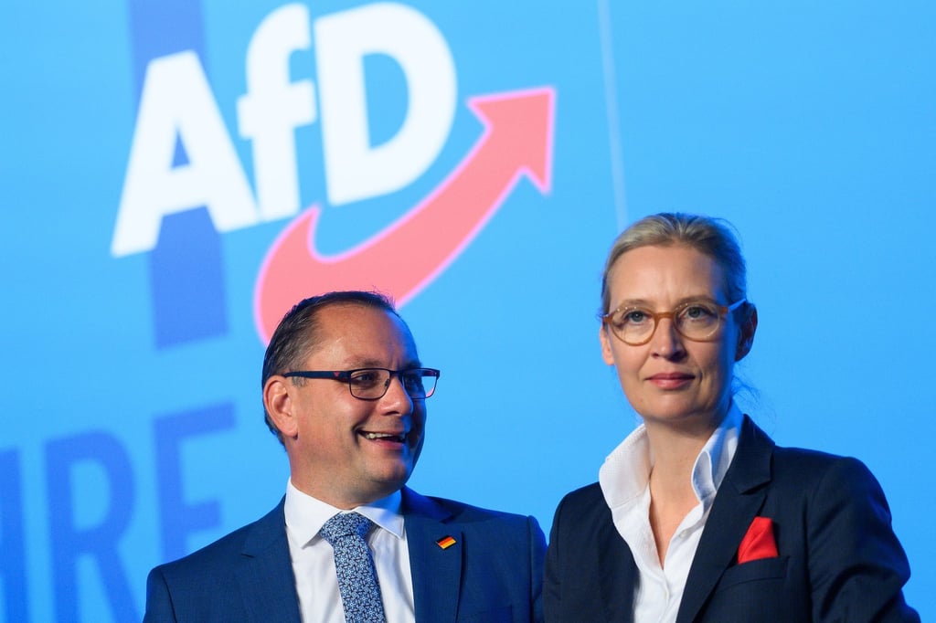 Die AfD-Bundesvorsitzenden in Magdeburg: Tino Chrupalla und Alice Weidel.