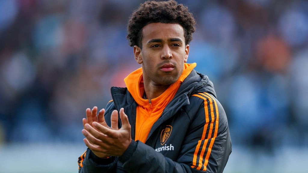 Tyler Adams könnte beim FC Chelsea anheuern.