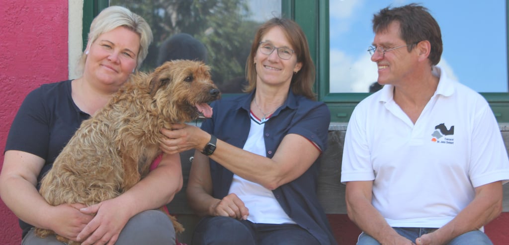Die Hündin Margo könnte durch eine Operation an ihren Augen wieder komplett sehen. Menschen gegenüber, wie Tierheimleiterin Kathrin Beherends (v.l.), Bundestagsabgeordneten Franziska Kersten (SPD) und Tierartzt Dr. Jens Siebert, ist sie zutraulich.