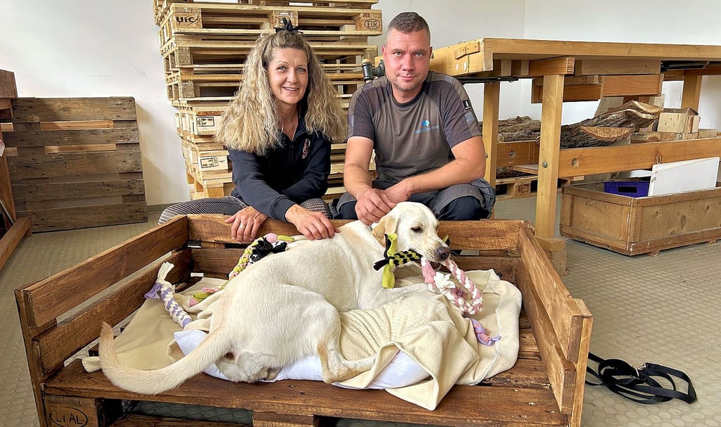 Gnadenhof-Besitzerin Anka Purwin und ihr ehrenamtlicher Mitarbeiter Christian Kuley freuen sich über Hundebetten und Spielzeuge aus Magdeburg. Am meisten freut sich die 10 Monate alte Labrador-Hündin Emma.