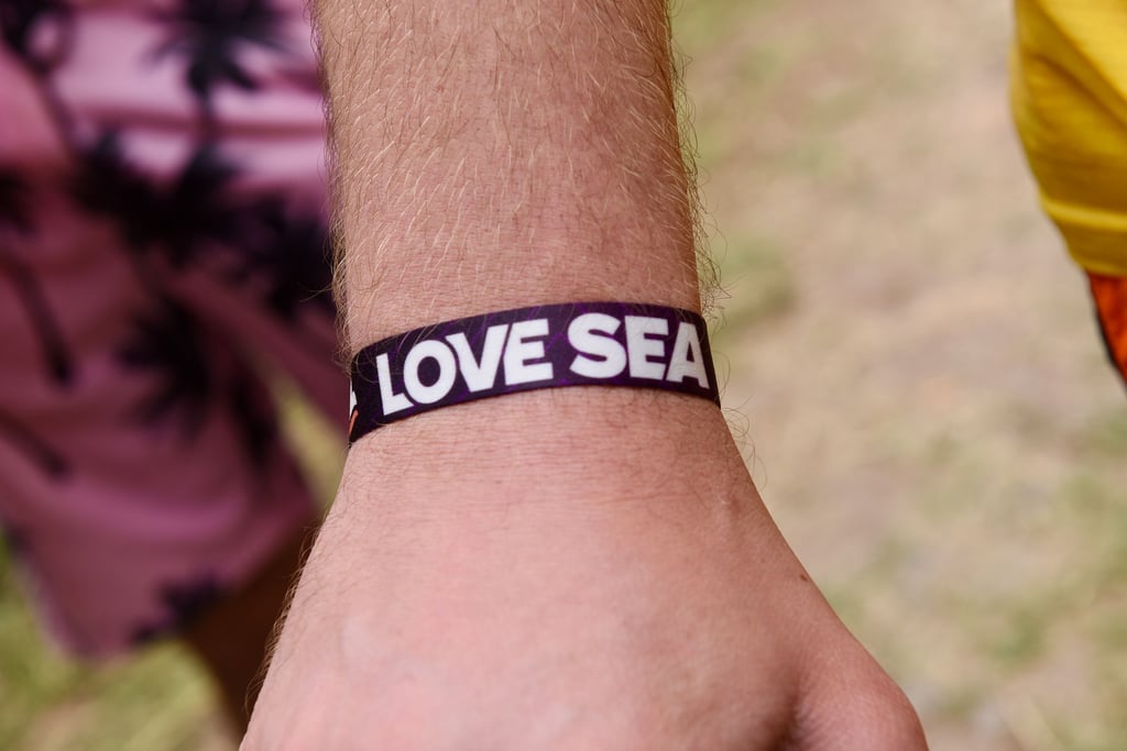 Das Love-Sea-Festival am Stausee Kelbra ist ein mehrtägiges Musikfestival.