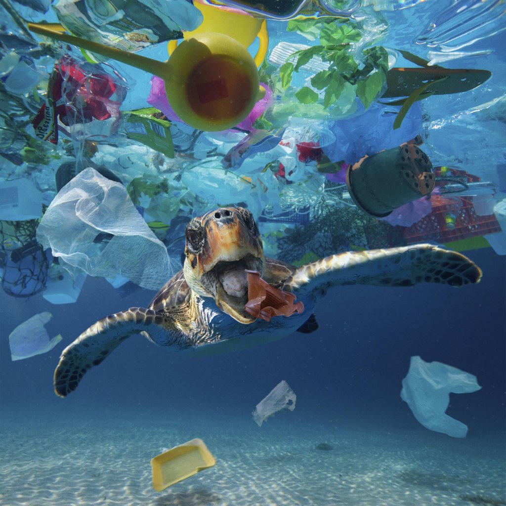 So besser nicht: Feuchttücher und anderer Plastikmüll im Meer