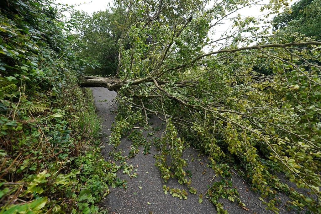 Der Deutsche Wetterdienst rechnet am Dienstag mit Sturmböen in Sachsen-Anhalt.