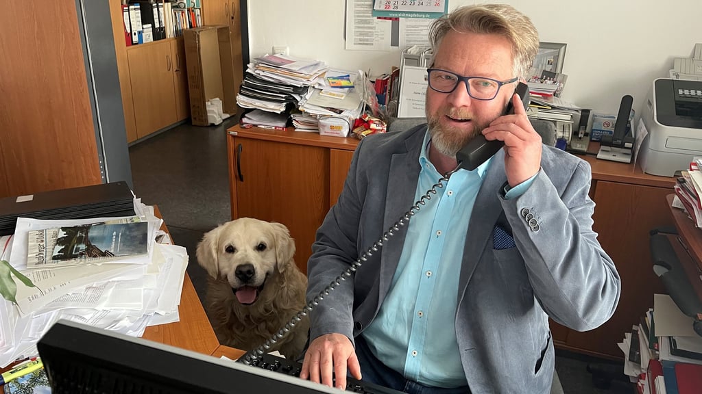 Oliver Müller und sein Hund Buddy sind ein eingespieltes Team.  Ins Büro im Magdeburger Rathaus kann der Geschäftsführer der Fraktion Die Linke den Golden Retriever offiziell nicht mitnehmen. Das könnte sich bald ändern. Fürs Foto durfte er mal mit. 