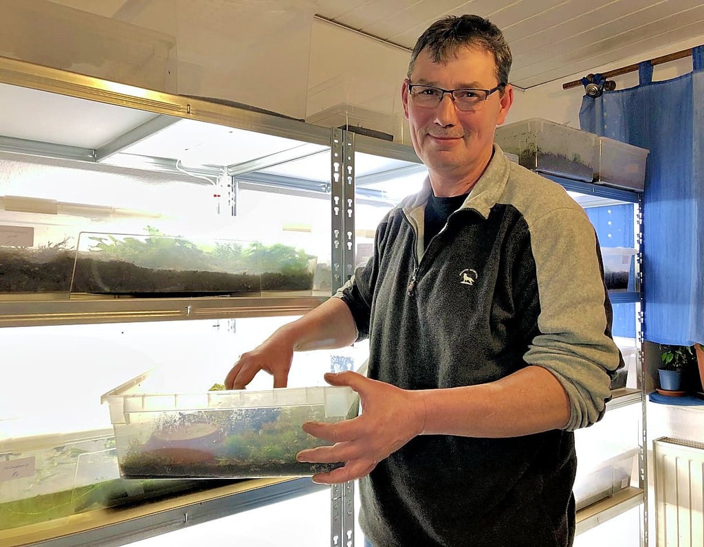 Züchter Ralf Henschke zeigt die Boxen, in denen er seine Amphibien der verschiedenen Arten hält.