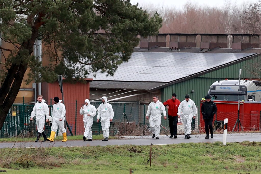Nach dem Ausbruch der Geflügelpest in einer Putenmastanlage in Wieglitz (Börde) rückten Seuchenbekämpfer in Vollschutz an. 20.000 Vögel mussten gekeult werden.