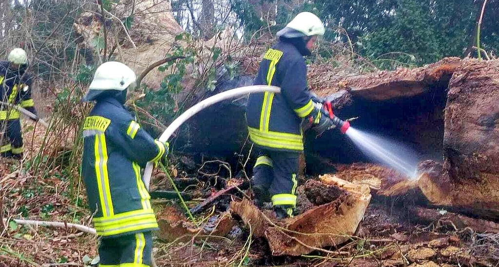 Die Feuerwehr Wasserleben musste zum Brand eines hohlen Baumes im Wasserlebener Henneberg-Park ausrücken.