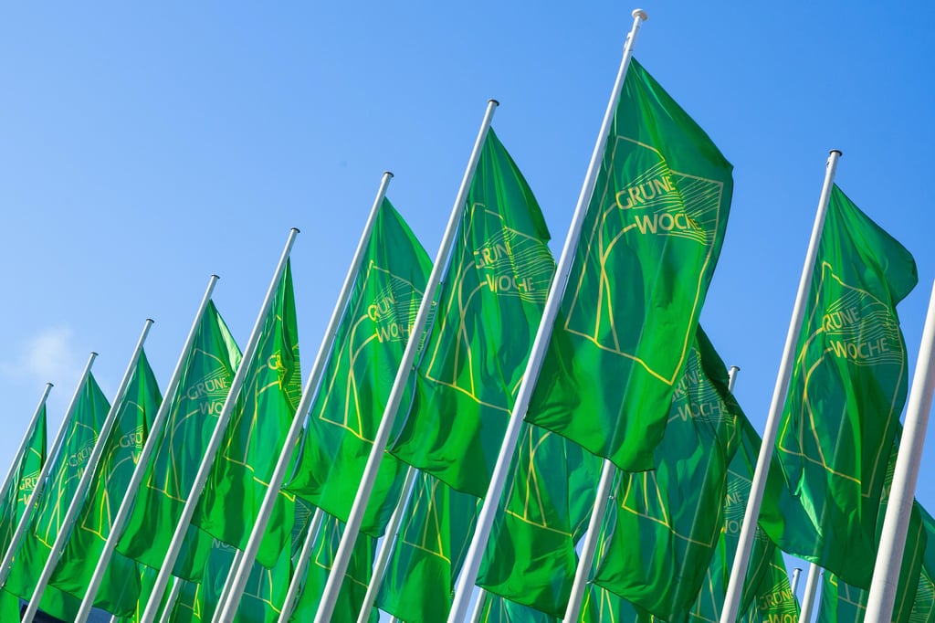 Die Fahnen der Grünen Woche auf dem Messegelände unterm Funkturm