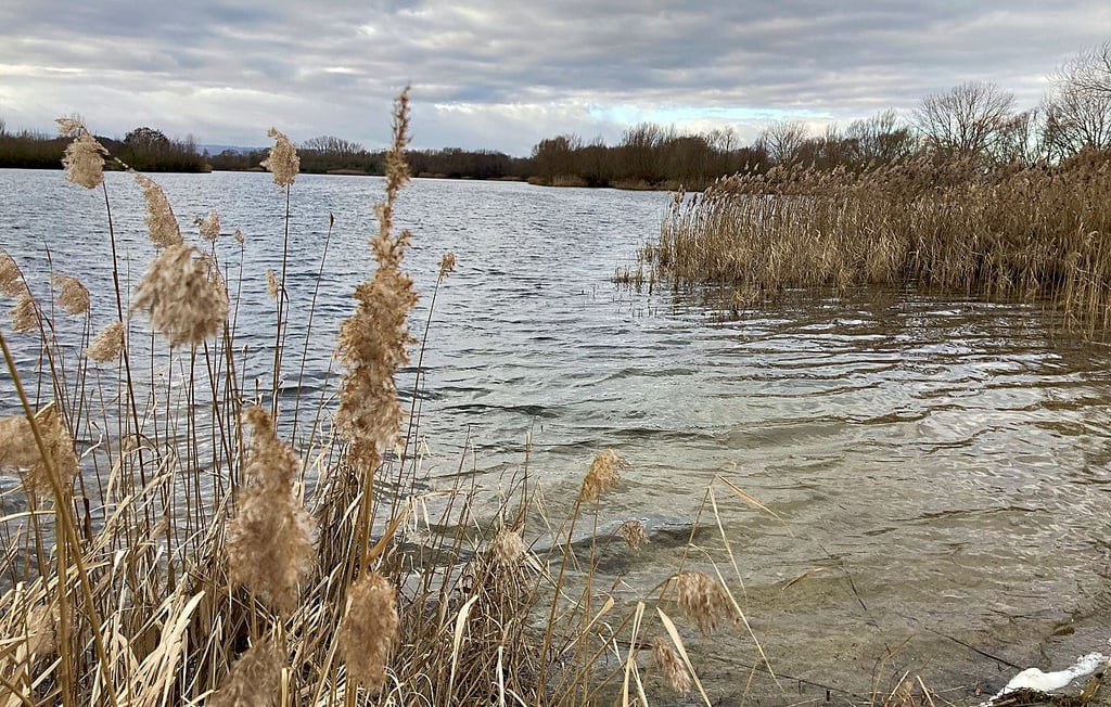 Gäste lieben den Ditfurter See. Für deren Autos gibt es neue Stellflächen.