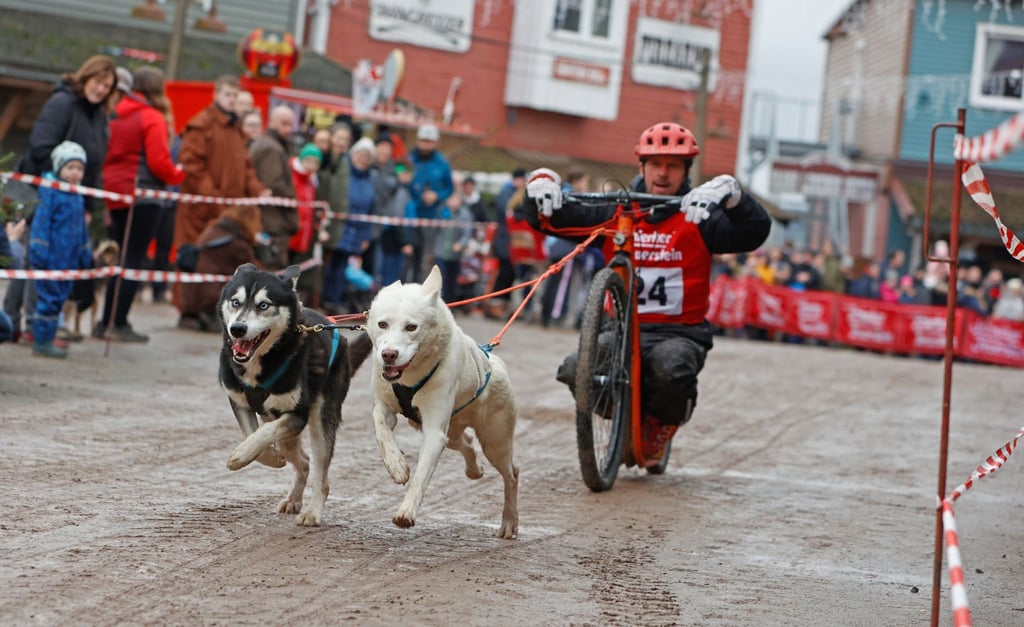 Ein Teilnehmer des 22. Internationalen Schlittenhunderennens in der Westernstadt Pullman City Harz bei der Rundenhatz.