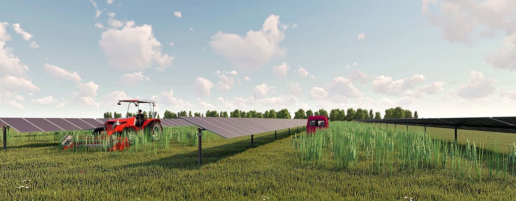 So soll die Agri-Photovoltaikanlage in Apenburg aussehen. Zwischen den Modulen ist genug Platz für Trecker und Mähdrescher, um das Feld zu bestellen. Im Jahr 2024 könnte die Anlage ans Netz gehen.