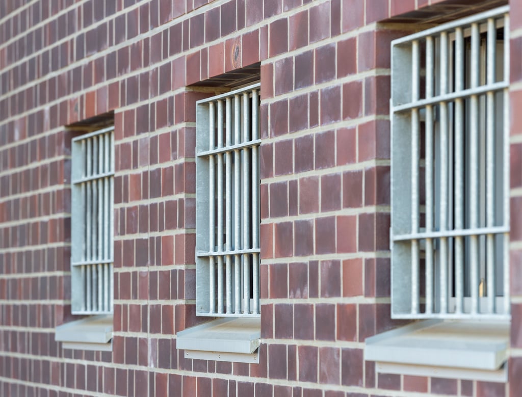 Für den Angeklagten aus Annaburg ging seine Schimpftirade nicht gut aus.