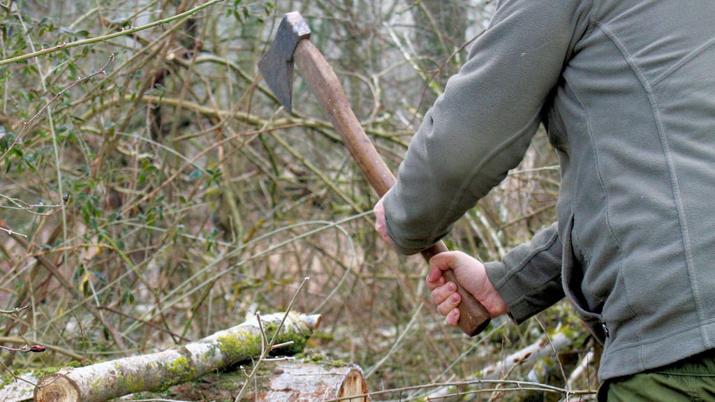 Nur mit einer Genehmigung durch das Forstamt dürfen sich Einwohner aus dem Wald Holz holen.