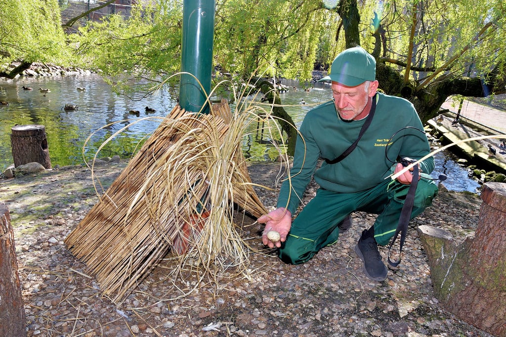 Jochen Träger nimmt die Besucherinnen und Besucher mit in die Welt der Tierpark-Tiere.