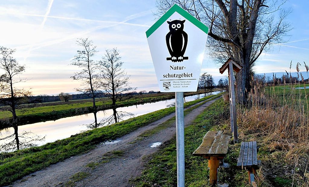 Entlang der Ohre – ganz in der Nähe der Sponstegbrücke – bei Berenbrock wachsen viele Pappeln, die wegen der Verkehrssicherheit auf dem Geh- und Radweg gefällt werden müssen.